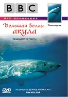 смотреть онлайн BBC: Большая белая акула (1995) бесплатно в HD 